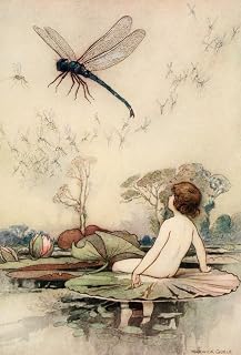 Posterazzi The Water-Babies 1909 A Dragonfly Poster Print by Warwick Goble, (18 x 24)