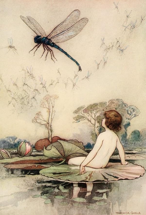 Posterazzi The Water-Babies 1909 A Dragonfly Poster Print by Warwick Goble, (18 x 24) by Posterazzi - Used condition - US$27.81