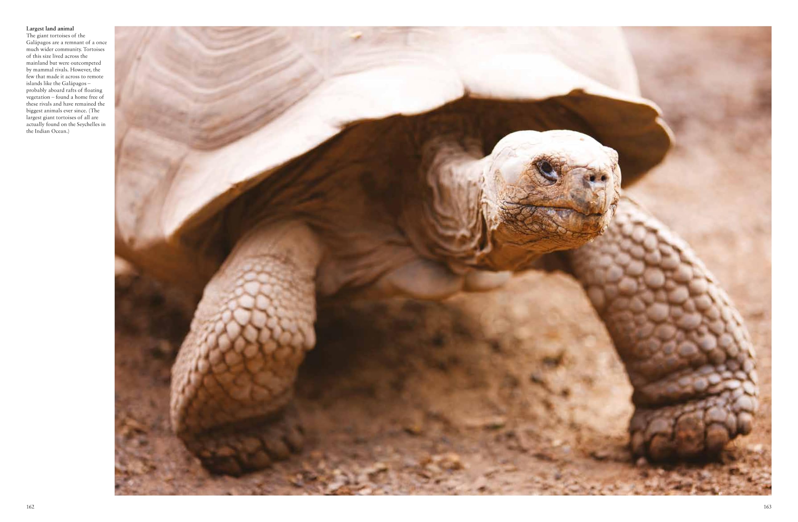 Galapagos Islands: A Showcase of Evolution (Travel)