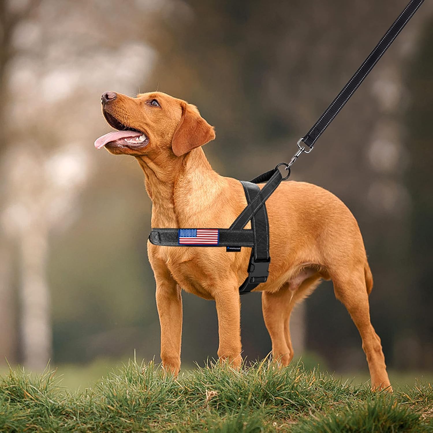 Annchwool Pettorina per cani antitiro, con manico imbottito + guinzaglio da 1,5 m, striscia riflettente, a prova di fuga e vestibilità rapida per regolare l'imbracatura, facile per addestrare e