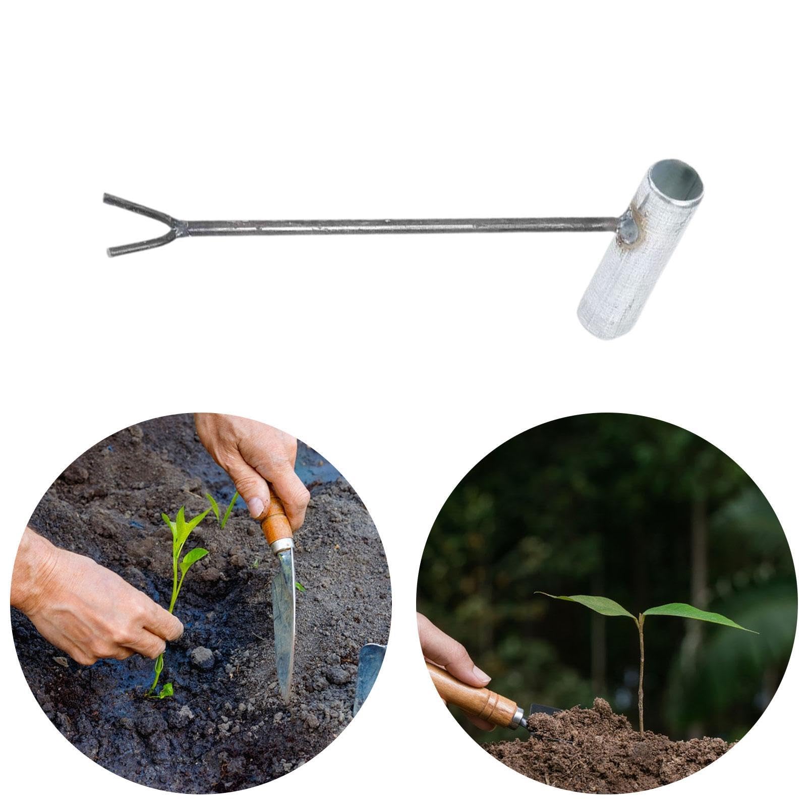 Generic Seedling Transplanter Planter Tool Metal Planting Artifact, Practical Durability Premium Easy to Use Heavy Duty Garden Tool, Scallions Planter