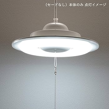 Amazon | オーム電機 LEDペンダントライト用光源 セード別売 8畳