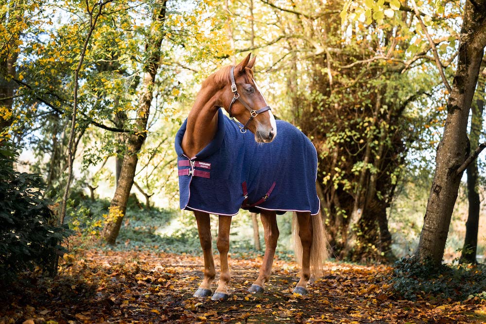 Refroidisseur de cou Horseware 66 contre la sueur du cheval