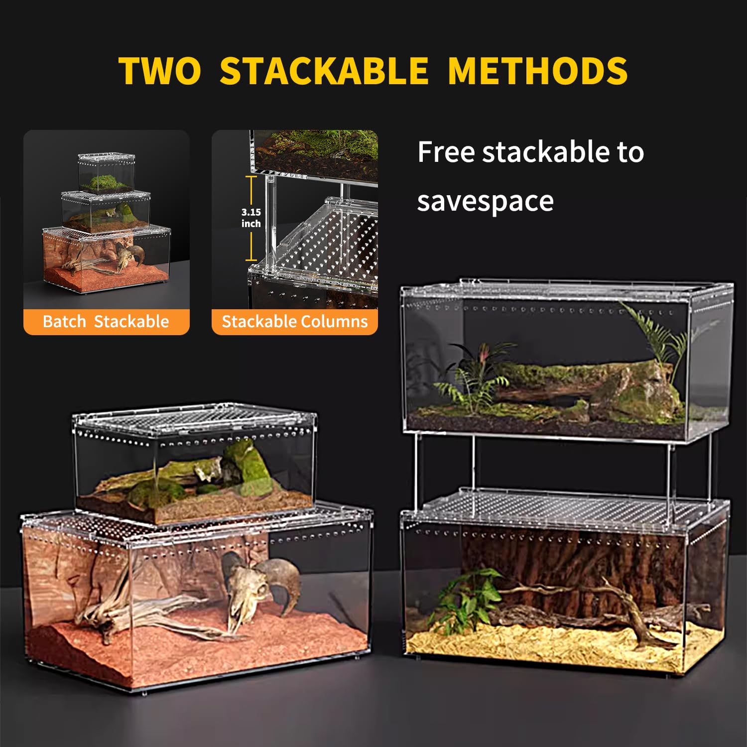 Amazon | Reptile Growth 【組み立て不要】マグネットボタン付き爬虫類