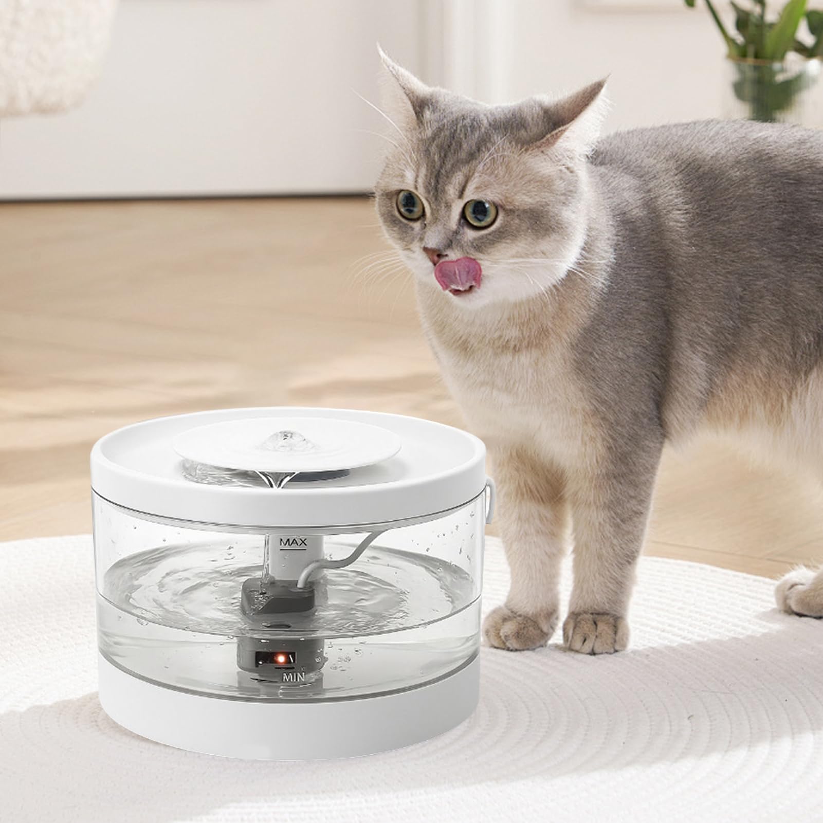 Fontana Per Animali Domestici Grande Distributore Filtrante | Abbeveratoio Automatico Animali Domestici Gatti Cani Cuccioli Interno Domestico Casa Soggiorno Pavimento