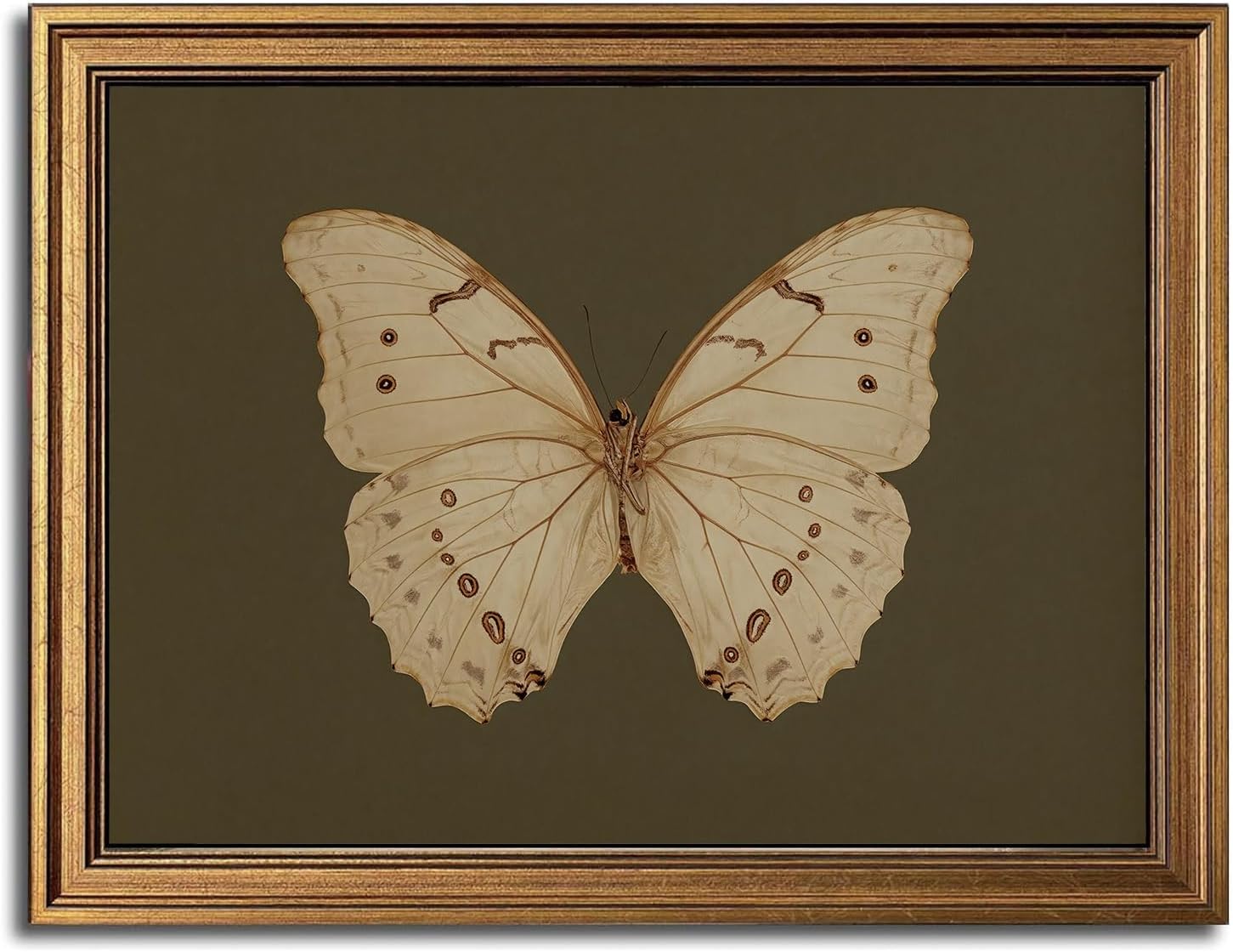 Gold Framed Wall Art Vintage Butterfly Canvas Wall Art White Butterfly Moody Insect Artwork Prints Picture for Living Room Bedroom Farmhouse Bathroom Office Decor, 12x16