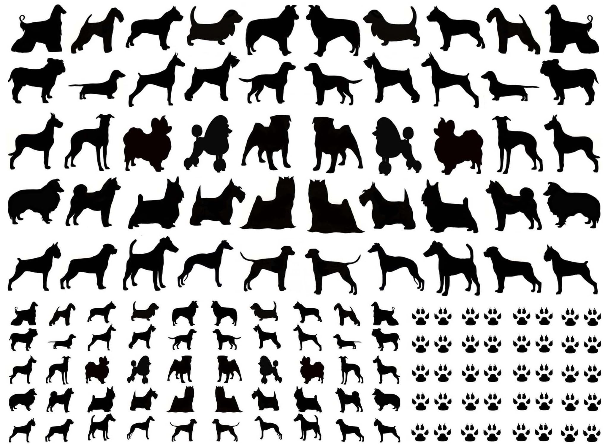 Dogs Paw Prints Black Fused Glass Decals-image-43
