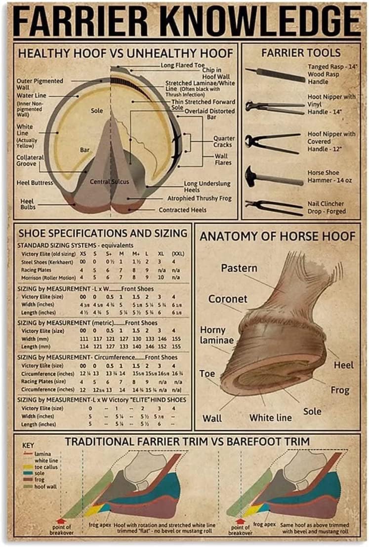 peiyeety Farrier Knowledge Metal Tin Sign Anatomy Of Horse Hoof Education Knowledge Poster for Office Home Farmhouse Club Wall Decor Poster 8"x12"