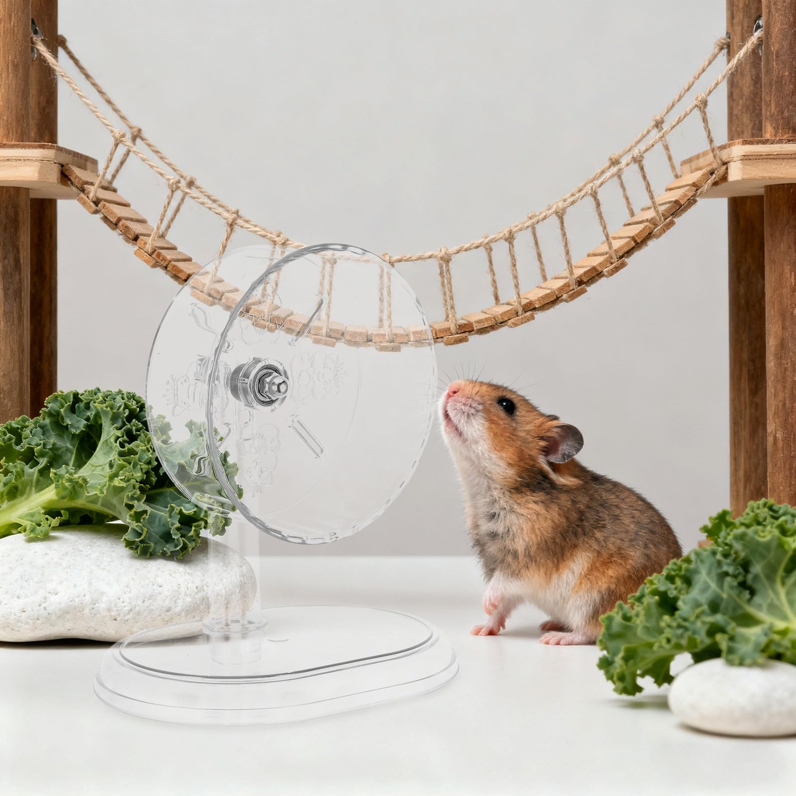 BESTonZON Transparentes Hamsterlaufrad: Leises Sportlaufrad mit Ständer für Zwerghamster, Rennmäuse und Kleintiere – Kunststoff-Spielzeug für Haustiere