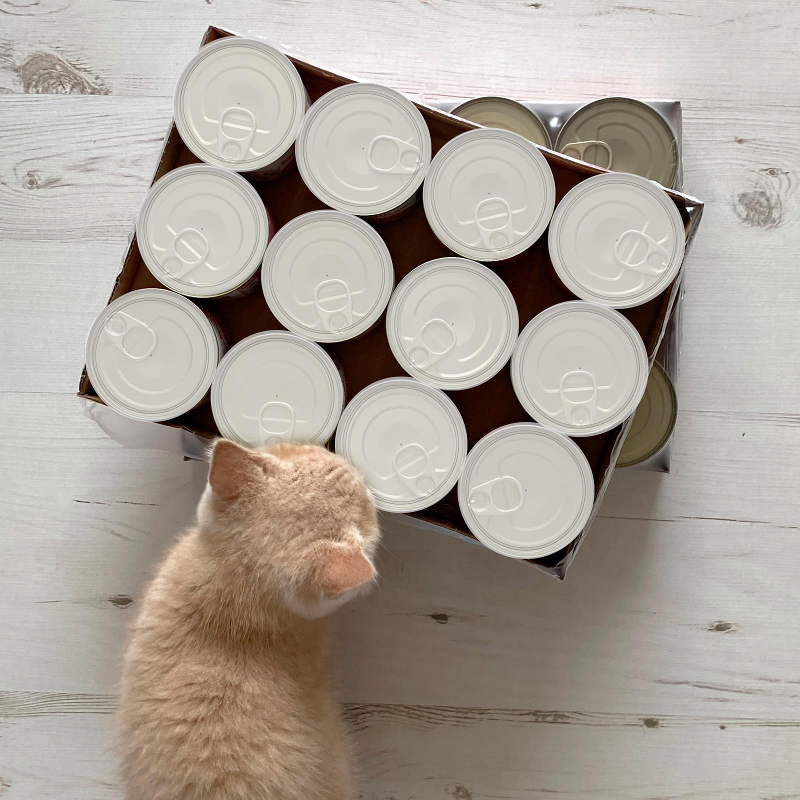 TIESOME Lot de 6 couvercles pour boîtes de conserve de 75 mm en plastique lavable pour boîtes de 800 g, couvercles transparents pour nourriture pour chat, nourriture pour chien, stockage des aliments