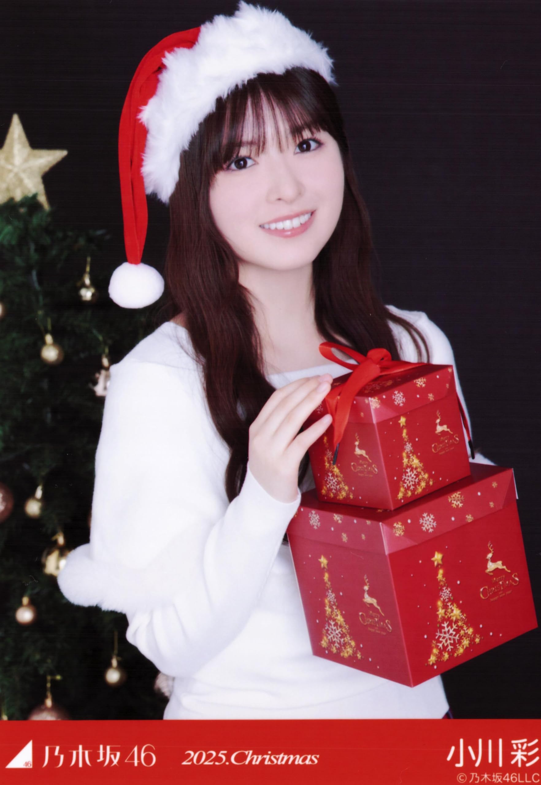 Amazon.co.jp: 乃木坂46 2025年11月個別生写真5枚セット クリスマス