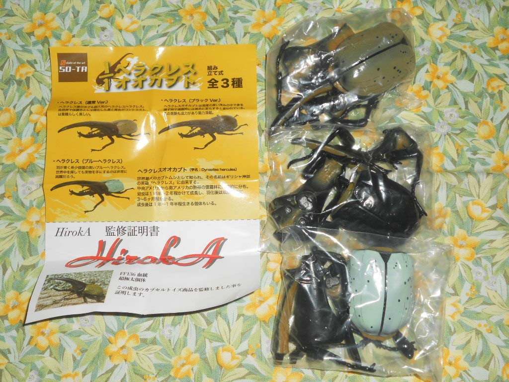 ヘラクレス3亜種 バリエーションセット ヘラクレス3亜種 バリエーションセット