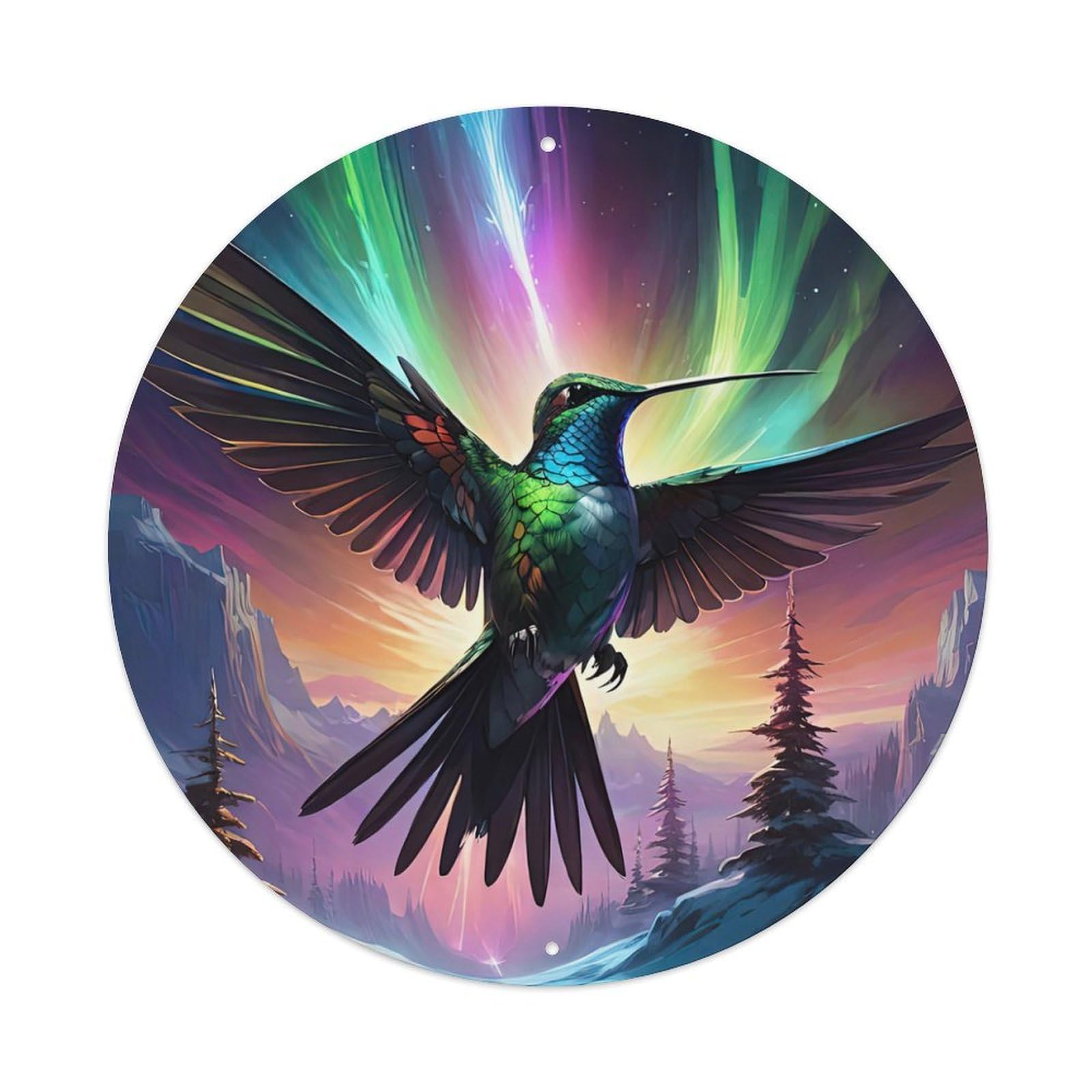 Wildlife Cartoon Giant Hummingbird Animal Northern Lights Metal Tin Sign Plaque Wall Decor for Cafe, Man Cave, Club Bar, Office, Home Garden Round Metal Poster 8x8Inch