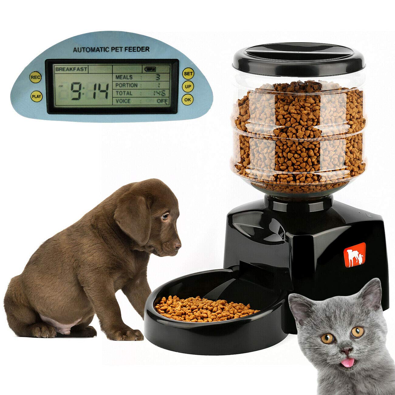 Alimentador Automático De Alimentos para Gatos, Perros y Conejos con Temporizador, Dispensador De Alimentos con 3 Comidas a Intervalos Regulares Se Pueden Registrar 5.5L (Negro)