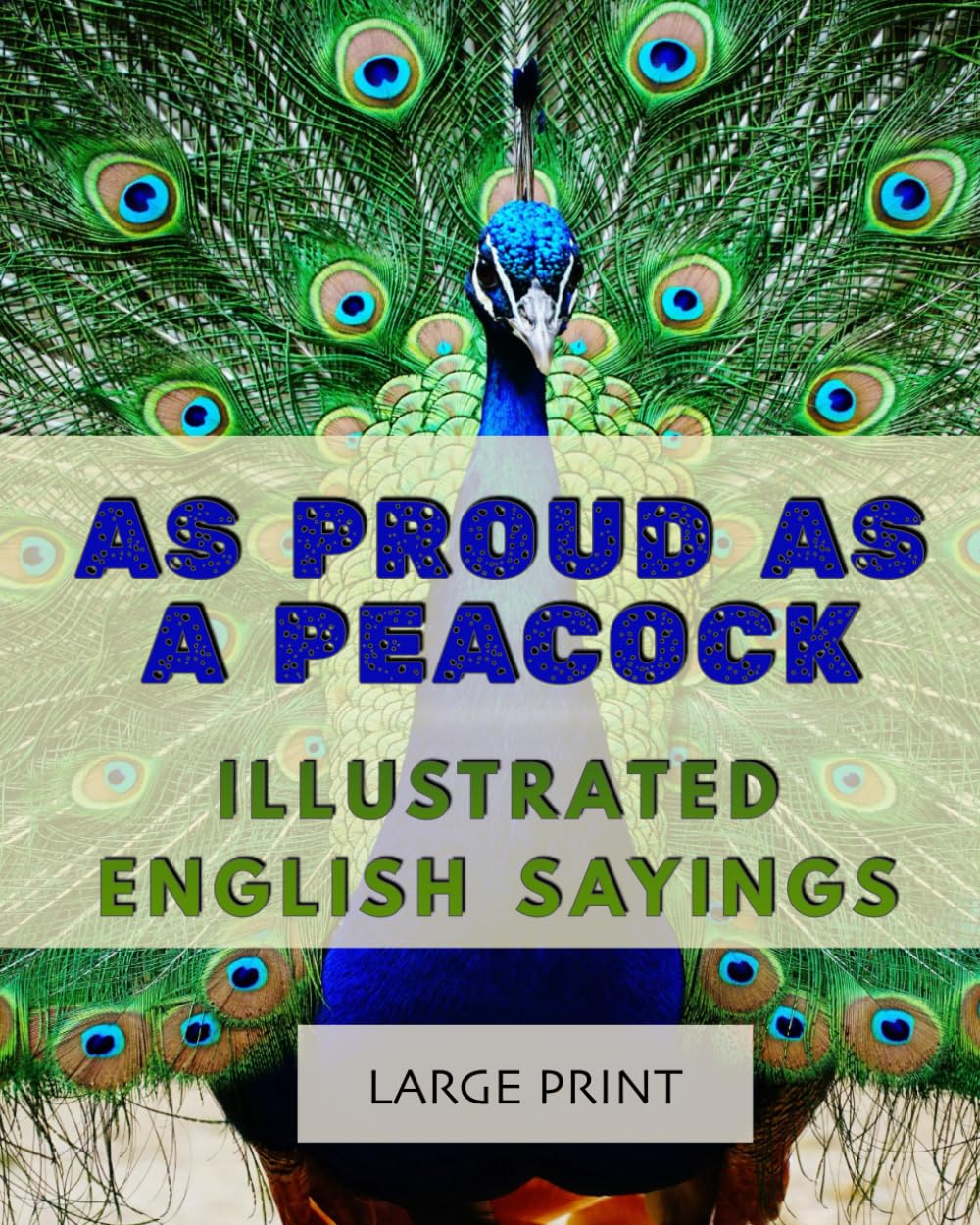 As Proud as a Peacock: Illustrated English Sayings: Large Print: A dementia-friendly, vision-friendly selection of traditional sayings to prompt ... (Illustrated Traditional Sayings)