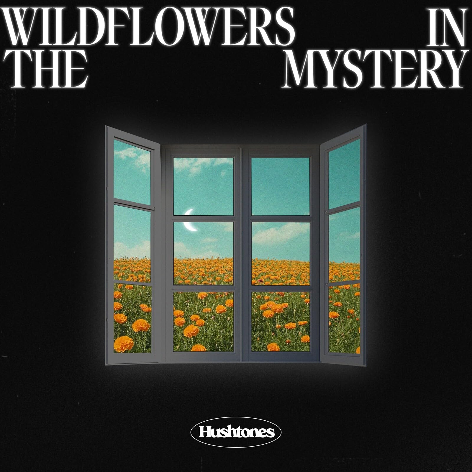 Wildflowers in the Mystery [VINYL]