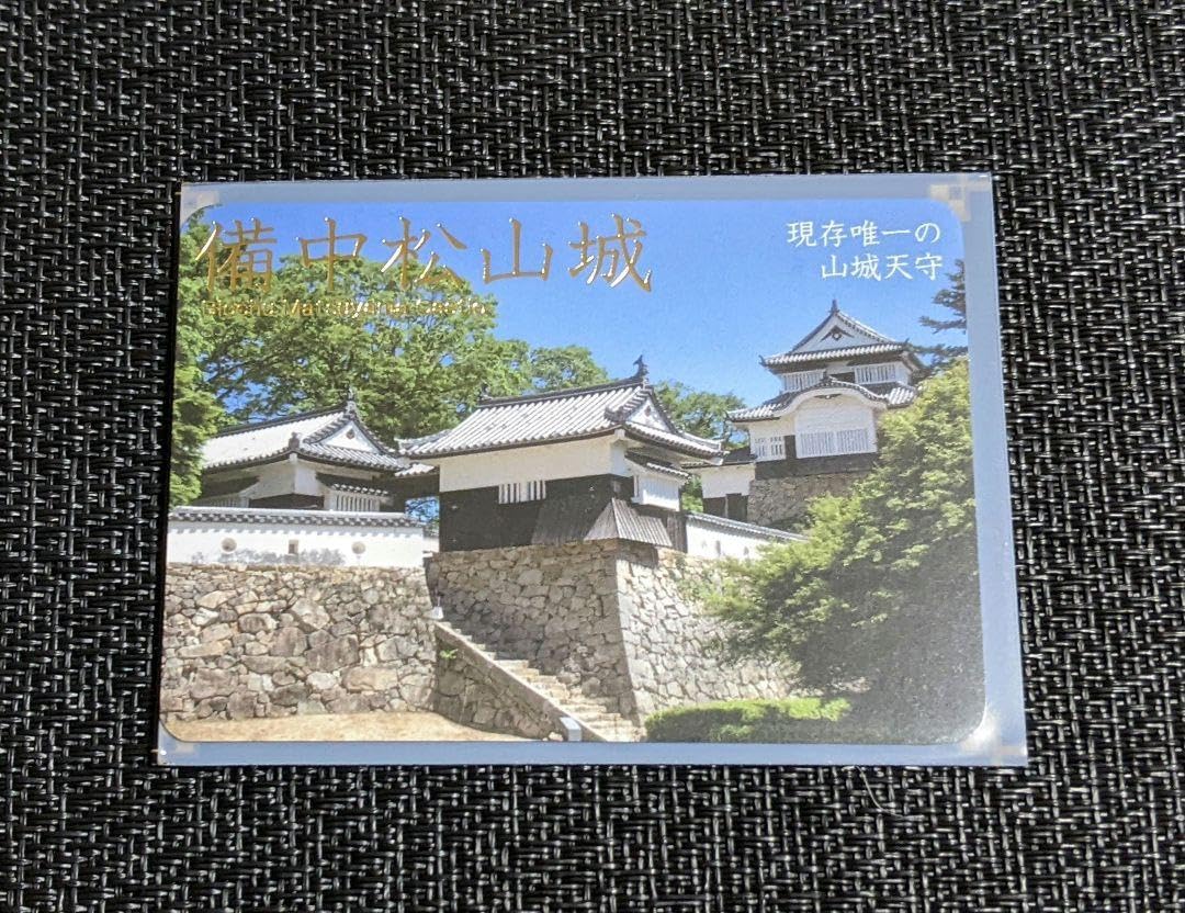 日本の山城 100名城 カード 100枚セット