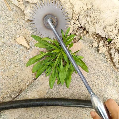 Miniatura 3 de Herramienta de deshierbe de artefactos de deshierbe de desarraigo 2023, extractor de malezas forjado de acero al manganeso, 4 dientes, desmalezadora