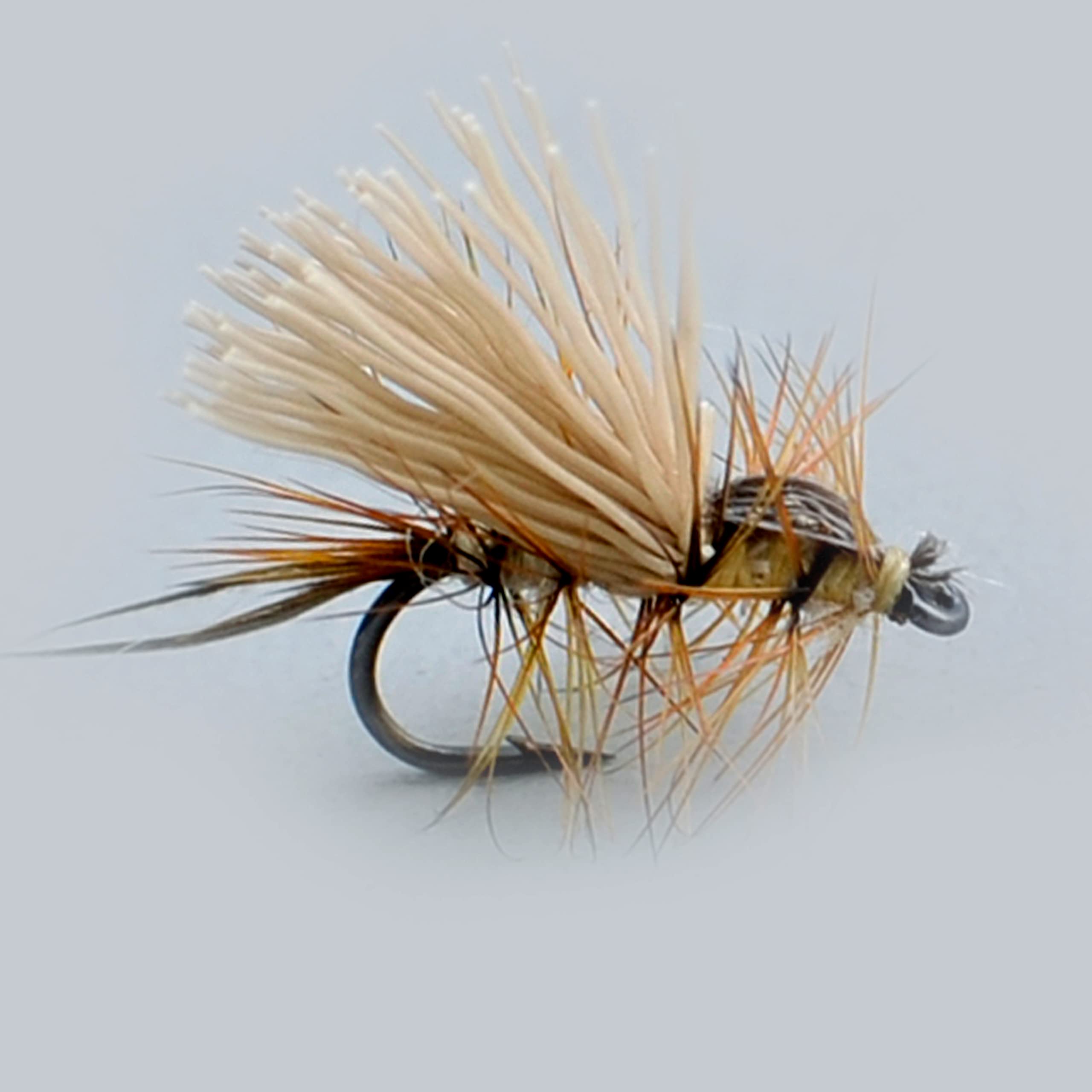 Fliegenfischen Trockenfliegen/EIN Dutzend/Caddis Parachute/DORATO Hasenohr/ELK Hari/GRIFFITH'S GNAT/HEMMINGWAY/Parachute Adams/Royal Coachman/PEG's Midge (Vier Sorten)