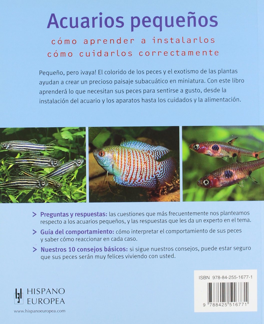 Acuarios pequenos/ Small Aquariums