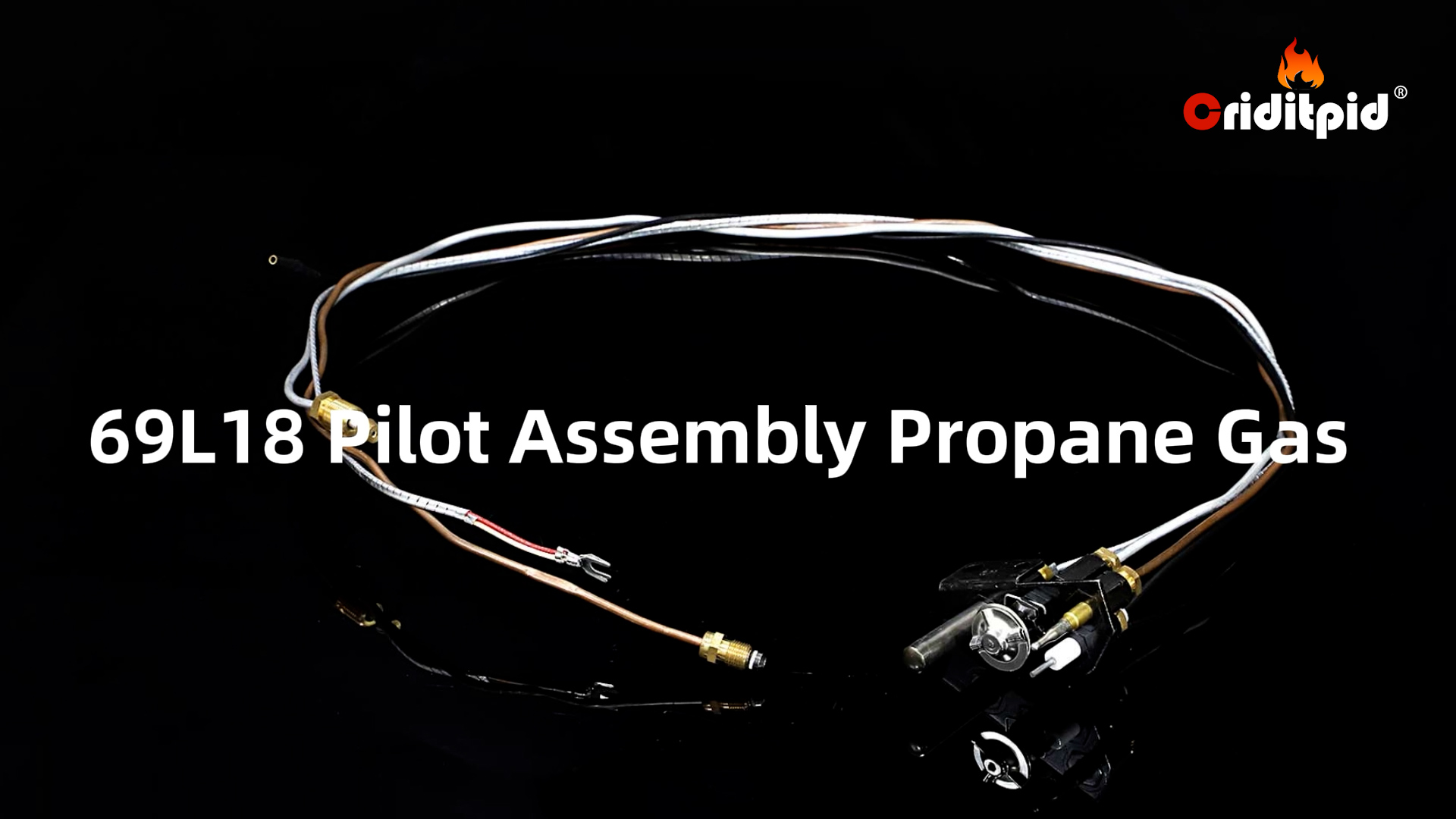 Amazon.com: Criditpid 69L18 Pilot Assembly Propane Gas (LP) for