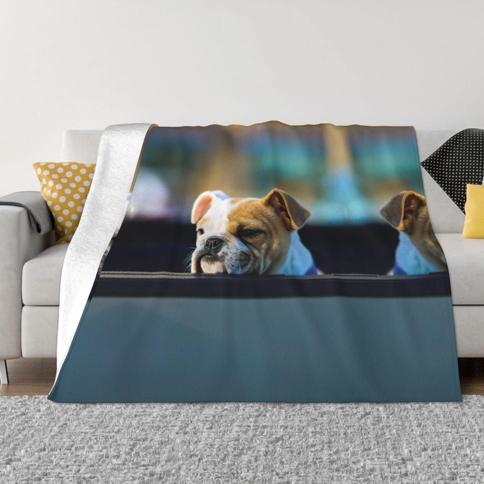 Couverture flanelle bouledogue contre le froid sur lit et canapé