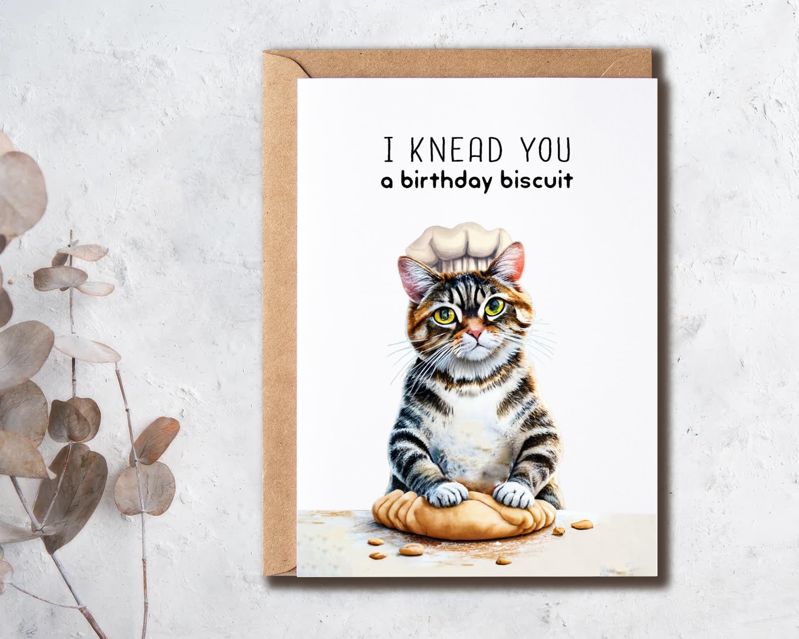 In My Defence' Cat Funny Card - Hilarious Birthday Cards For Men And Women - Humorous Greeting Cards For Family And Friends - For Men And Women - Any - View #3