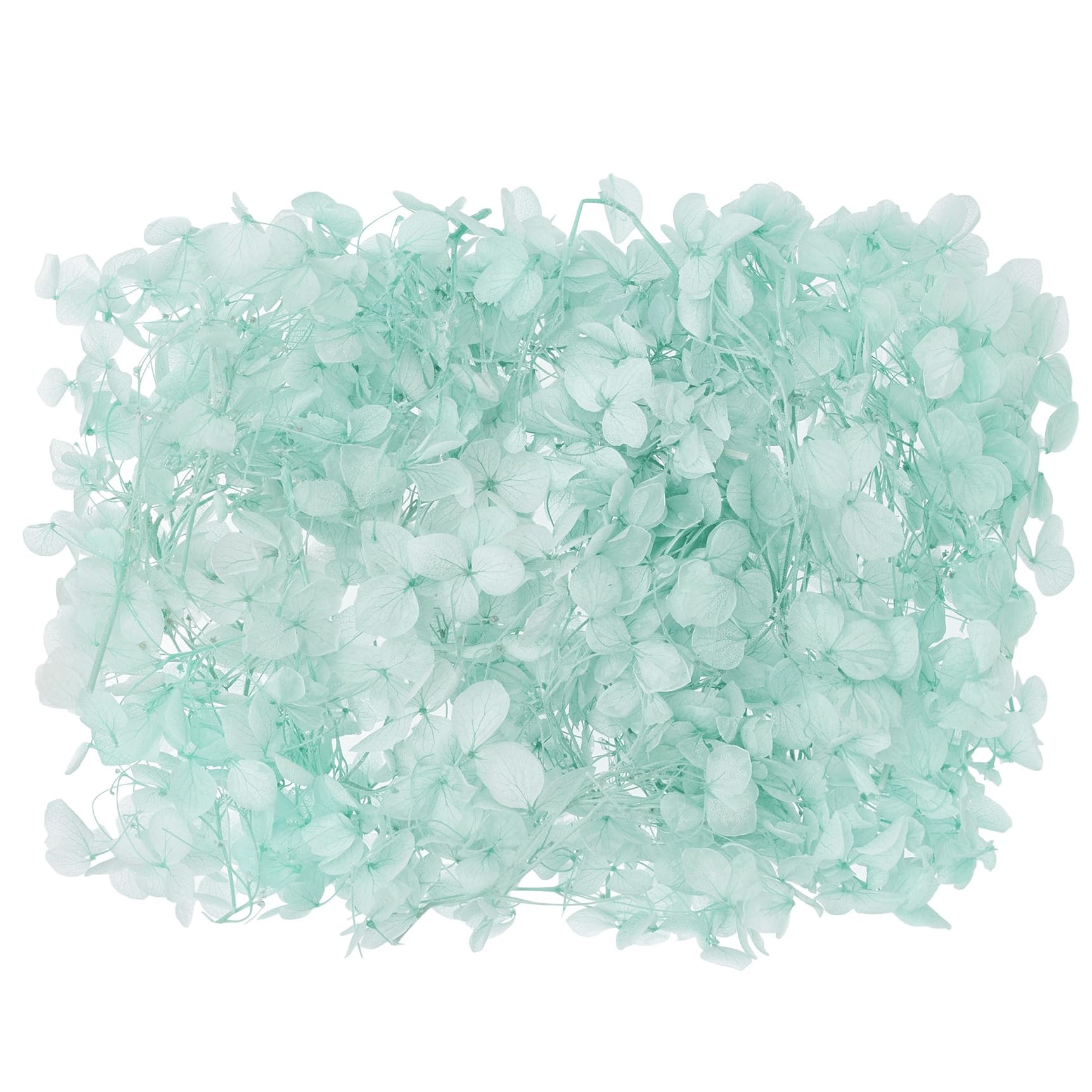 The Baked Studio - Original Dried Flower Hydrangea Set For Cake & Cupcake Decorating & Others Crafts (Turquoise)