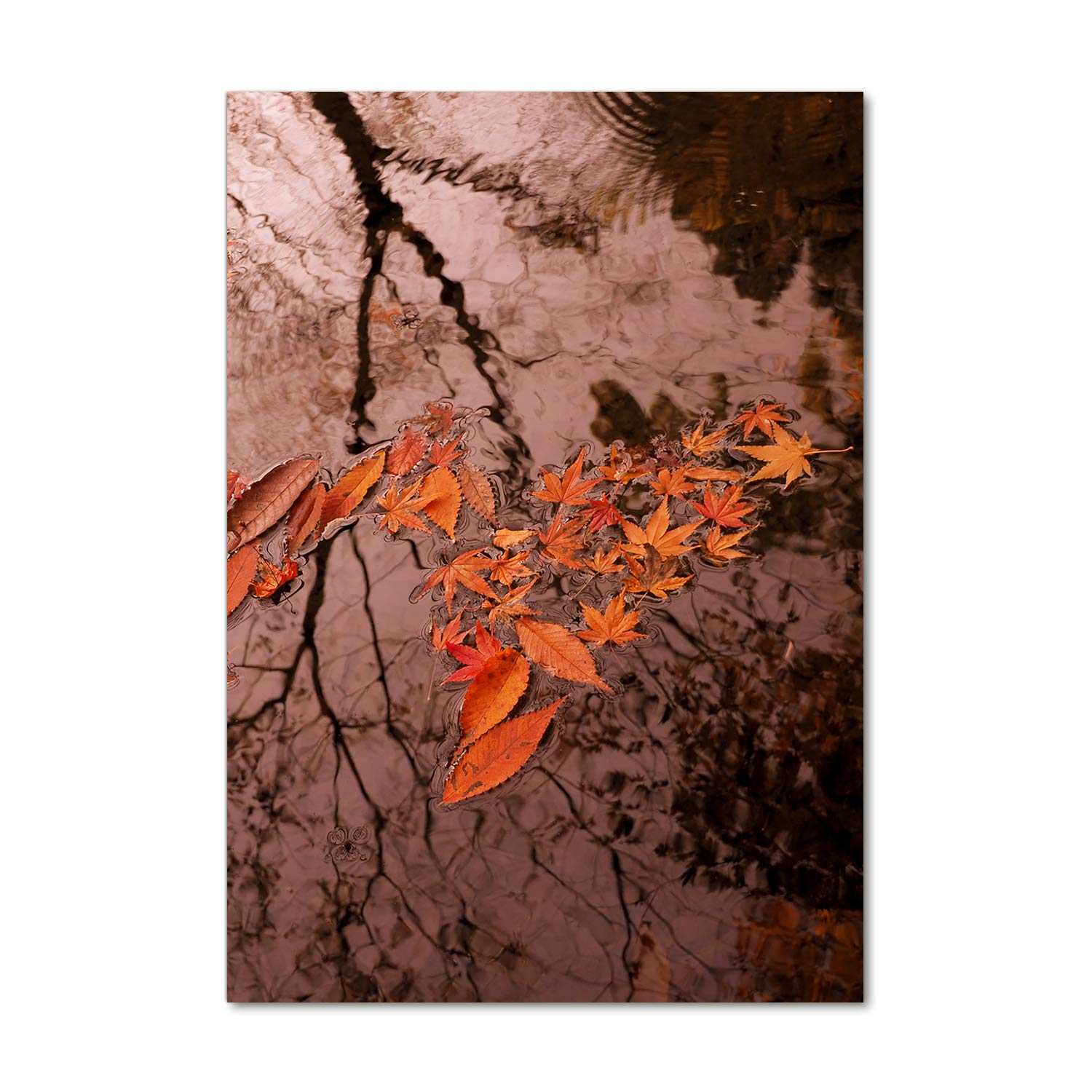 Mural Art Décoration Fleurs et Plantes Orange Tableau Plexiglas Lumineux 70x100