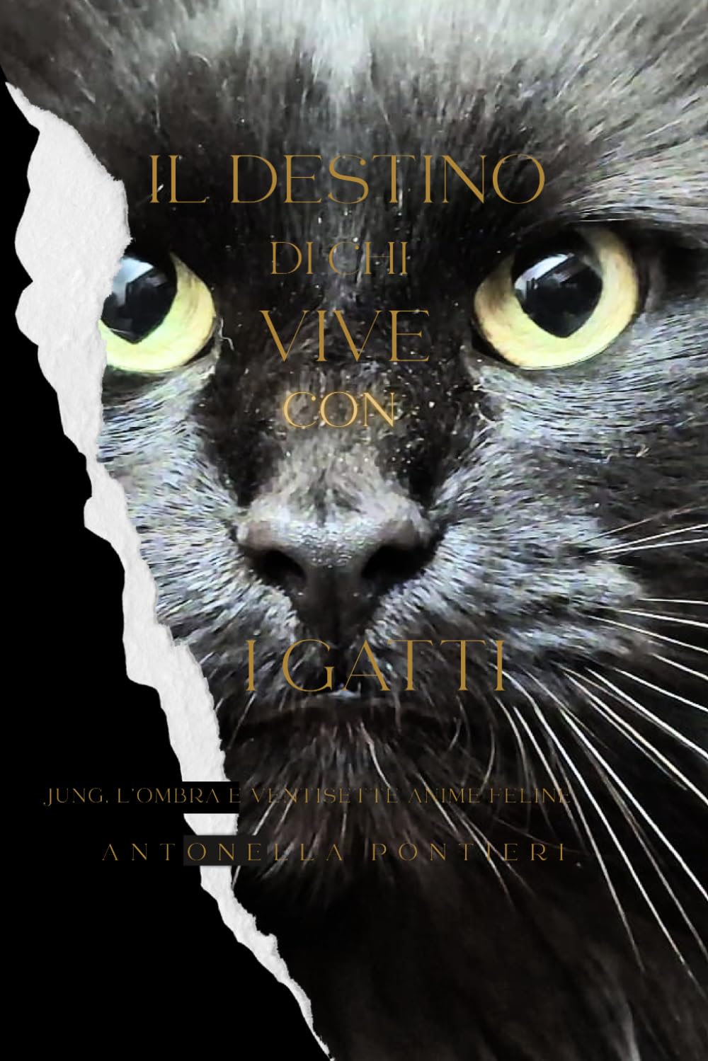 Il destino di chi vive con i gatti: Jung, l’ombra e ventisette anime feline