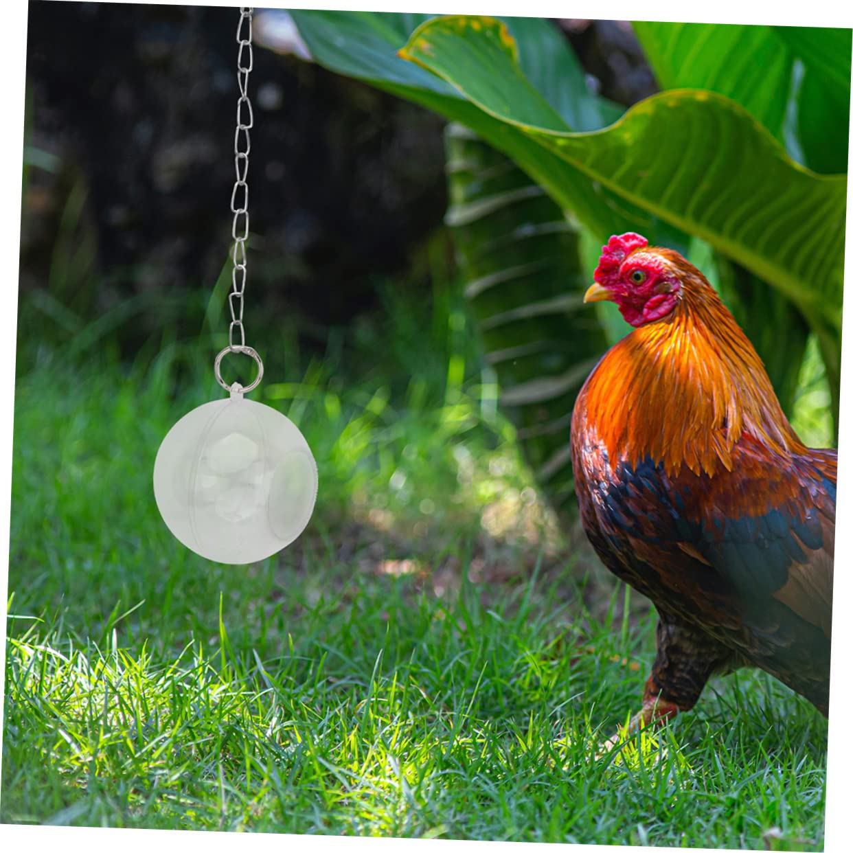 Angoily 6 Piezas Bola de alimentación alimentador de pájaros de Juguete Jaula de pájaros Comida Juguetes Bolas para Jaula de pájaros Suministros de alimentación de Aves Loro