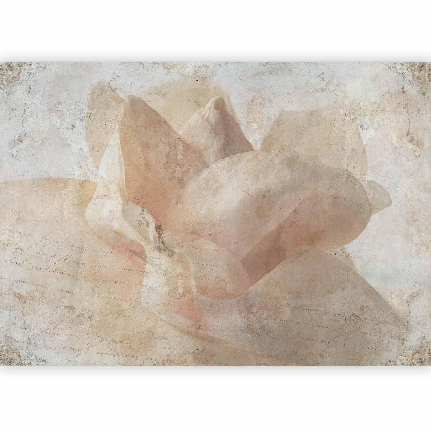 artgeist Wall Mural Flowers Floral 98x69 in - Non-Woven Wallpaper Fleece Wall Decor Photo Print Picture Image Design Home Mural Rose Roses Concrete b-C-10348-a-a