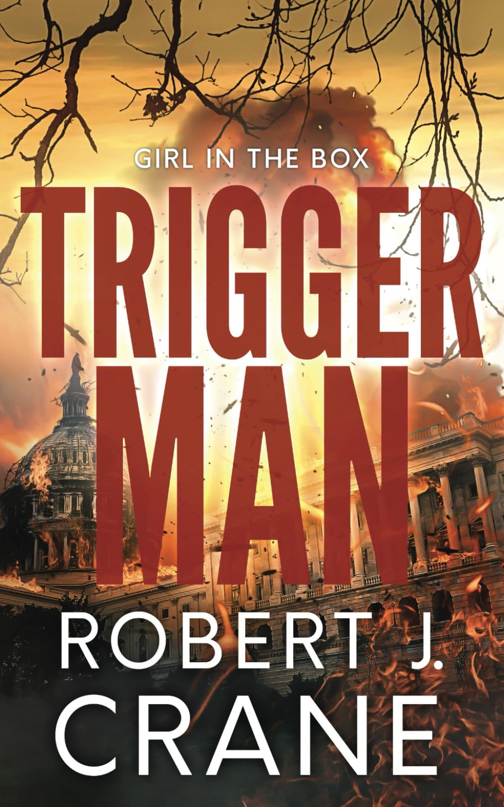 Trigger Man (The Girl in the Box)