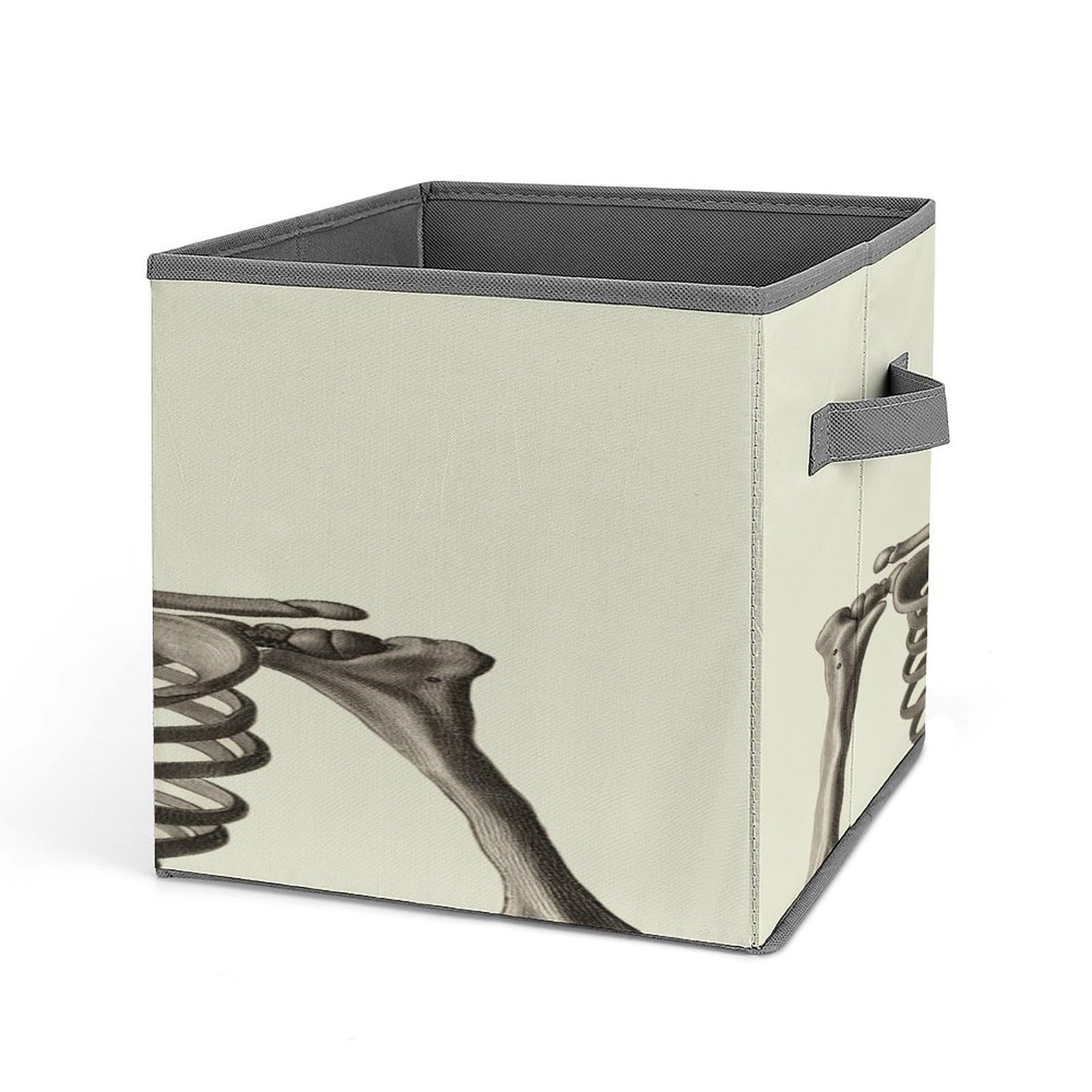 Fekiloot Style Human Skeleton Storage Bins Storage Baskets