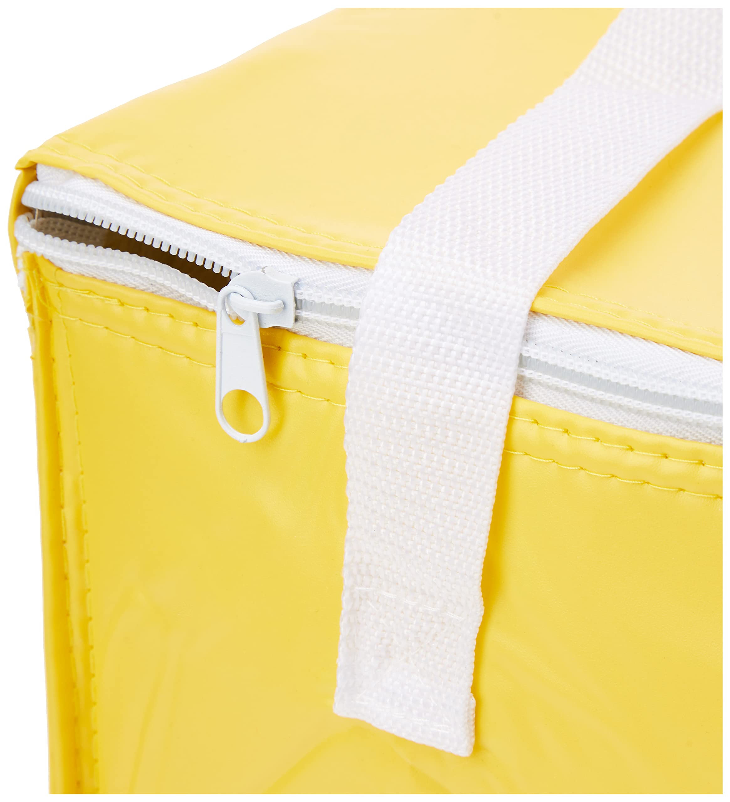 JTENG Borsa Termica Porta Pranzo 10L Frigo Isoterma Per Alimenti JTENG Borsa Termica Porta Pranzo 10L Frigo Isoterma Per Alimenti