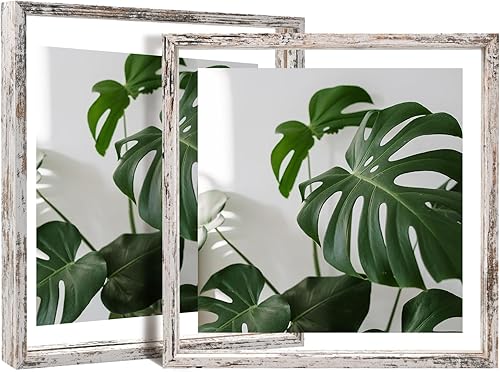 Miniatura 44 de Egofine Juego de 2 marcos flotantes de 8 x 10 pulgadas, marco de fotos de plexiglás doble, hecho de madera maciza, fotos de cualquier tamaño de