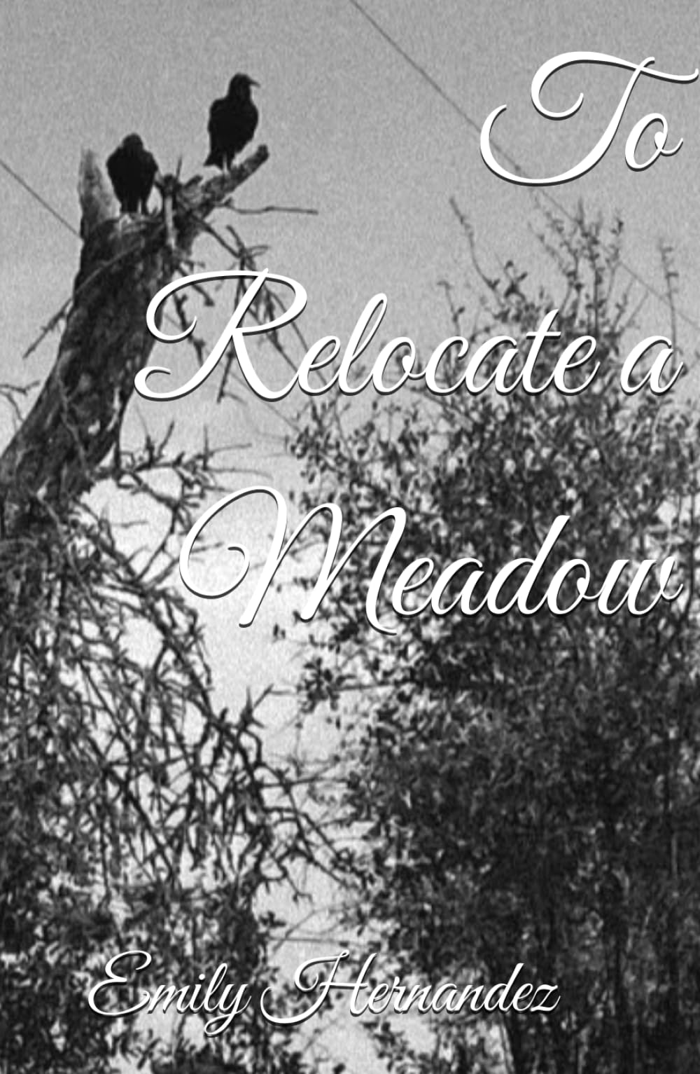 To Relocate a Meadow