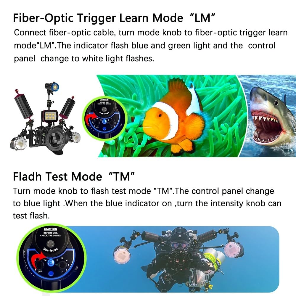Seafrogs SF-01 Kit stroboscopique d’éclairage sous-Marin. Comprend 2 stroboscopes, 2 Boules flottantes, 6 Barres d’Extension, 1 câble à Fibre Optique, 1 Plateau en Aluminium pour Le boîtier Seafrogs
