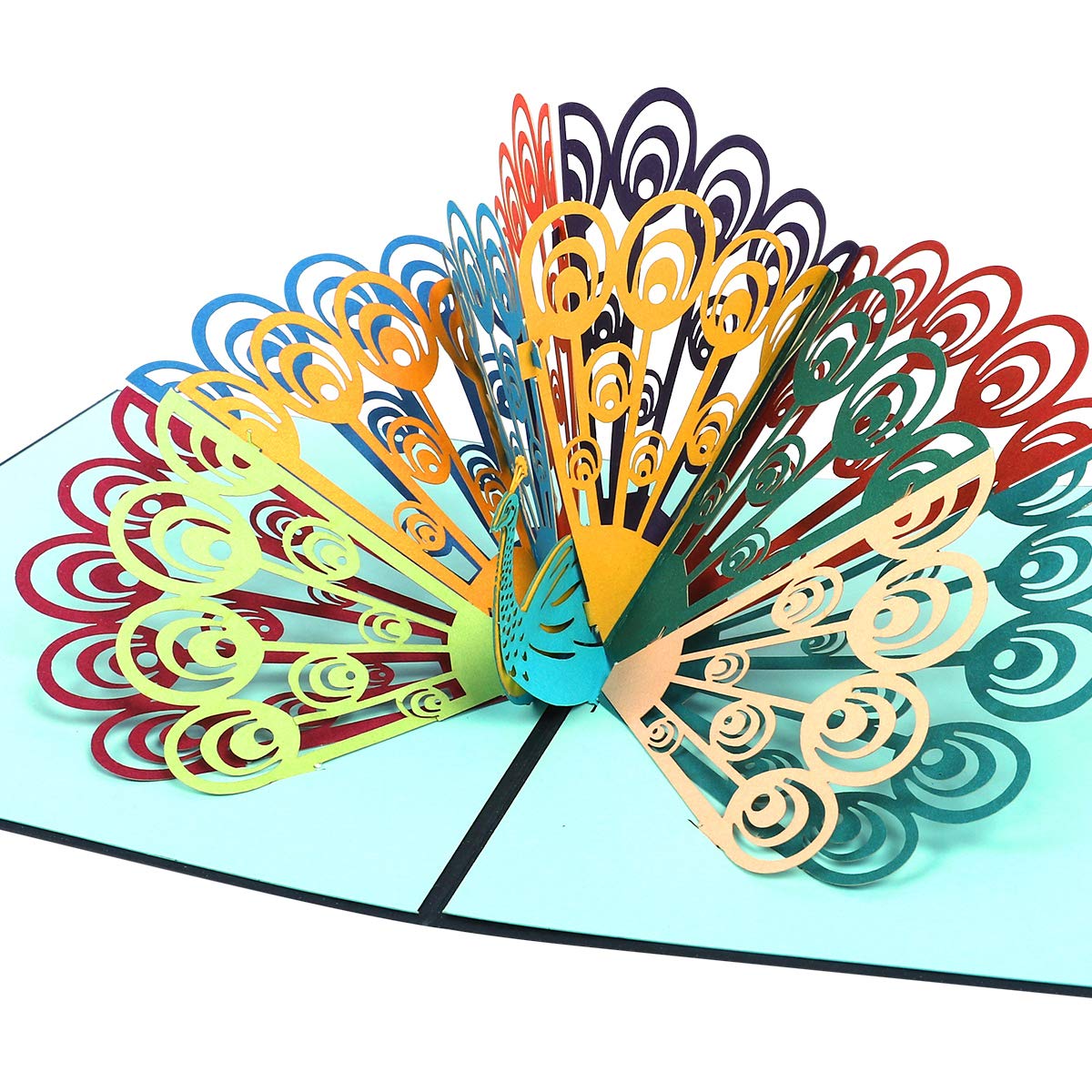 Amazon.com: Ezakka Peacock 3D Pop Up Greeting Cards For Appreciation, Get  Well, Sympathy, Gift Cards For Thanksgiving Day, Graduation, Wedding,  Birthday : Everything Else