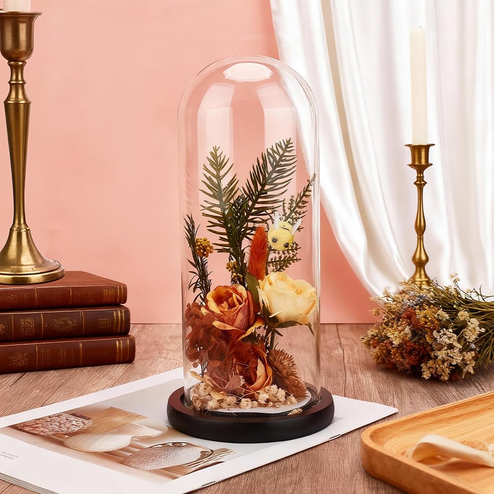 BENECREAT Campana In Vetro A Forma di Arco con Base In Legno, Cupola Espositiva In Vetro Trasparente Da 25x9.5cm per Decorazioni per La Casa, Piante, Oggetti Da Collezione e Ricordi, Nero