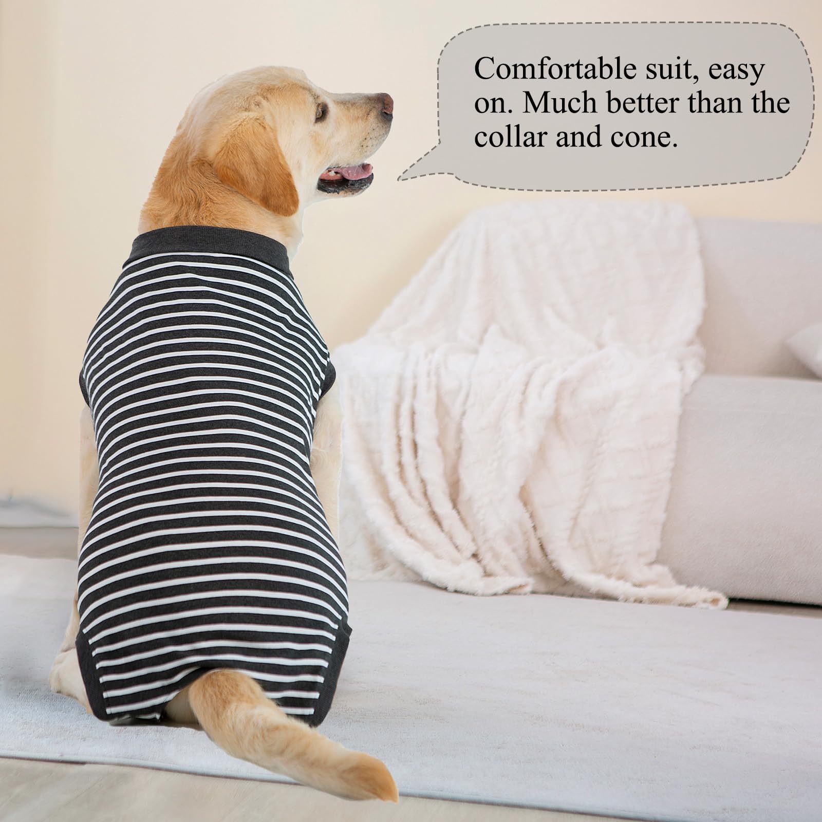 Combinaison de convalescence pour – Combinaison post-opératoire avec double couche pour la récupération opérationnelle du chien
