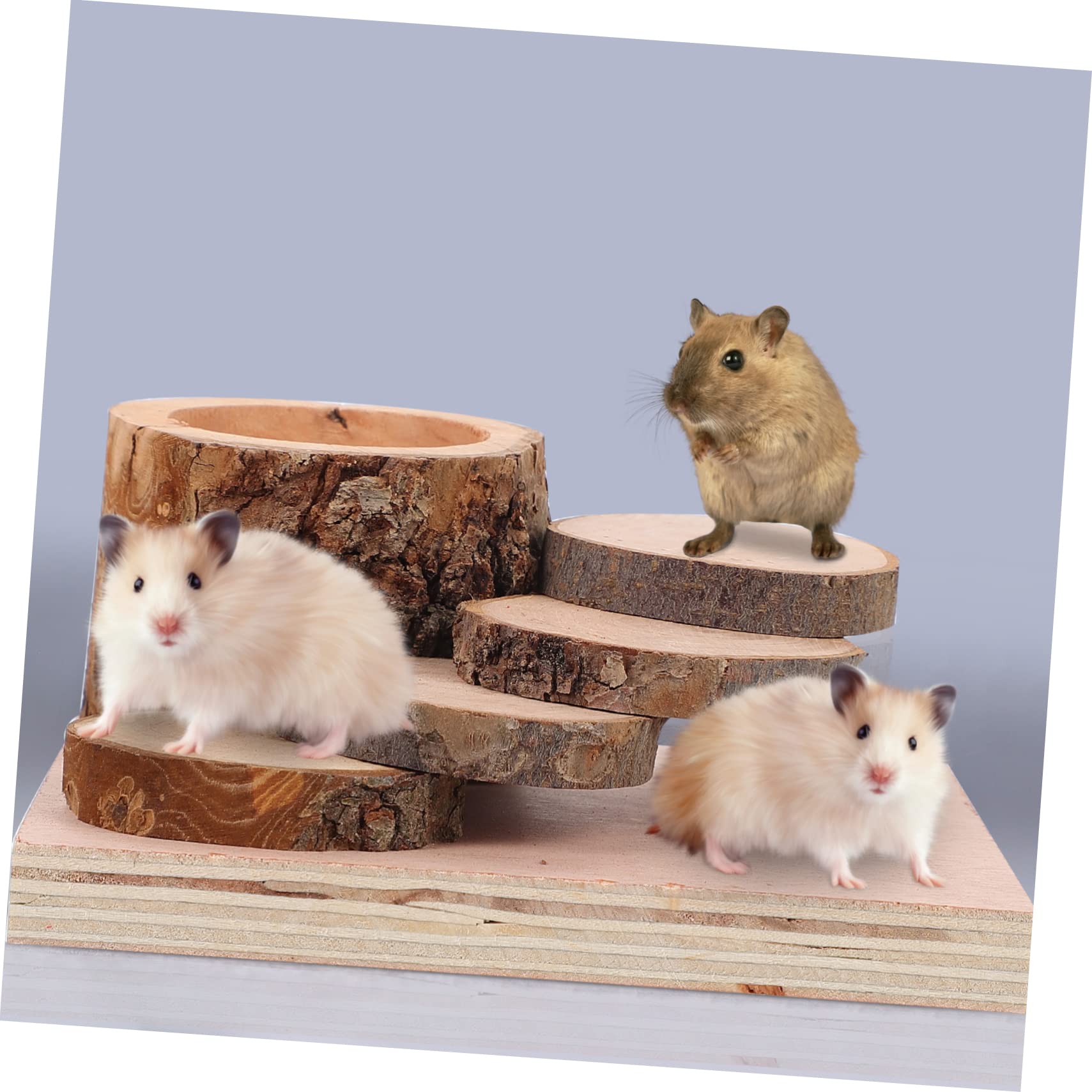 Beavorty Hamster Kletterspielzeug mit Futternapf und Kletterleiter Molaren Spielzeug für Kleine Tiere Wie Hamster als Futter und Kletterplattform