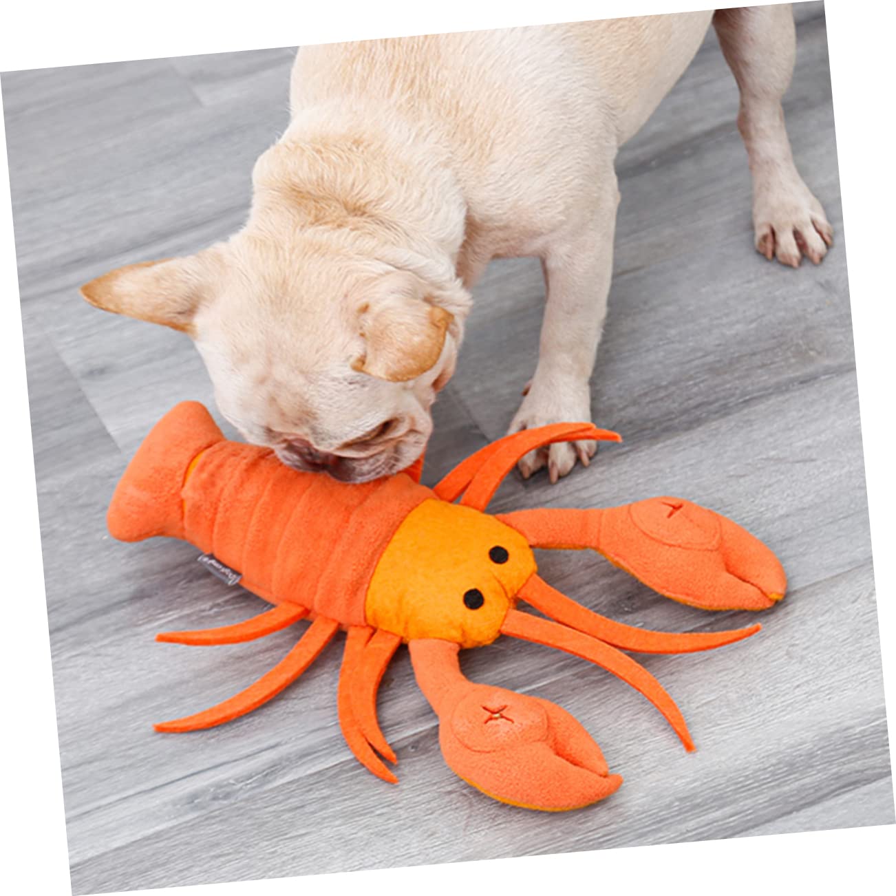 FRCOLOR 2 Juguetes para Alimentar Mascotas Juguetes Rellenos para Perros Accesorios de Limpieza comederos para Mascotas Accesorios para Cachorros Juguetes de Peluche una Pieza Muestra Tela de Fieltro