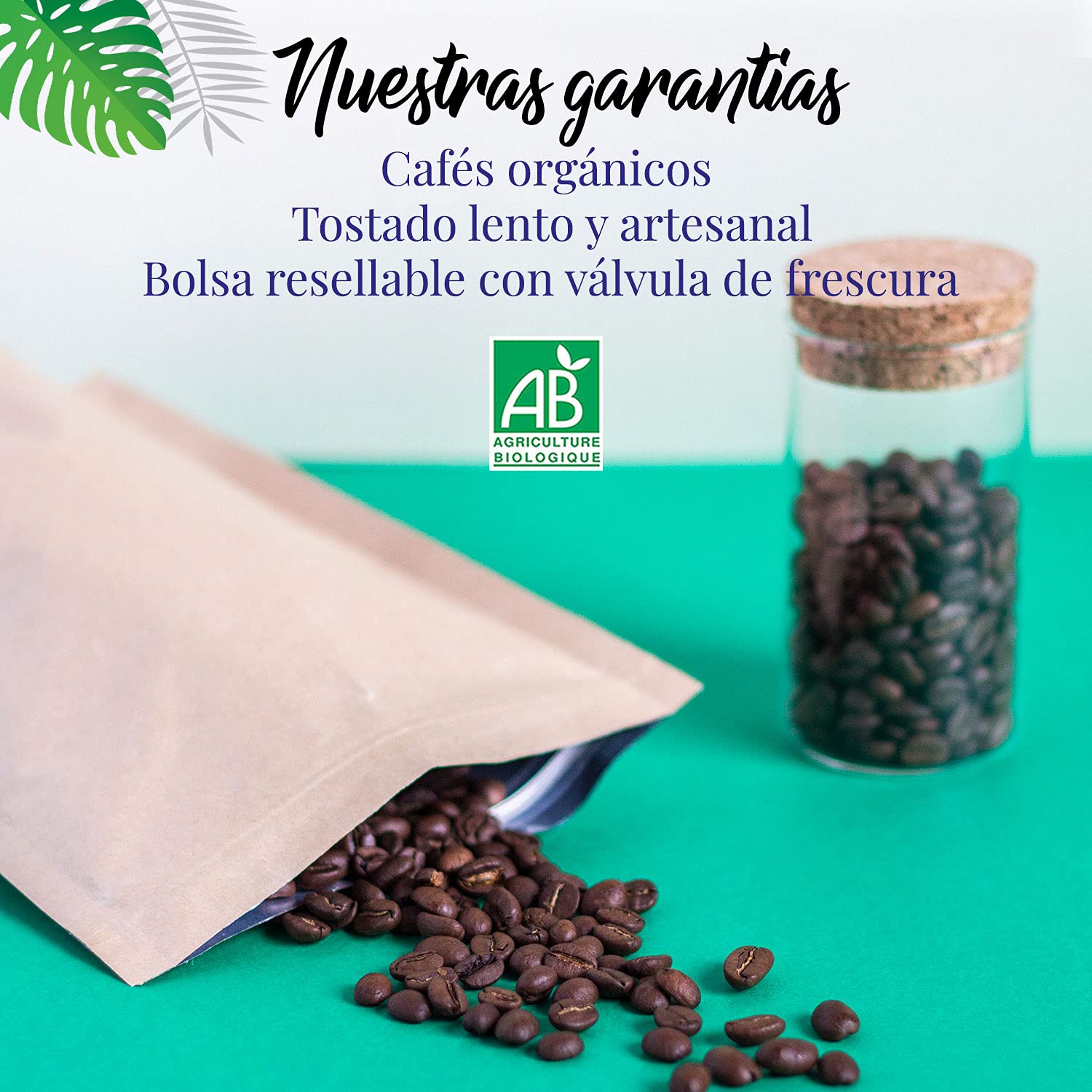 Cafe En Grano Ecólogico 1kg | Granos de Cafe Arabica 4x250g, Tostado Artesanal | Caja Cafe Regalo