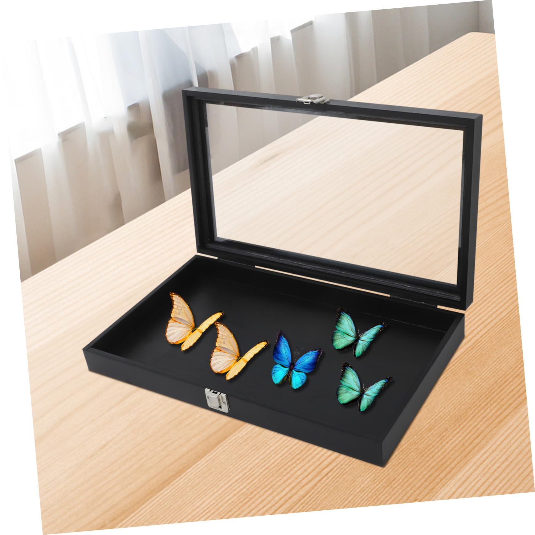 Cabilock Elegante Holz Vitrine für Insekten und Kleine Objekte mit Schloss Dekorative Ausstellungsbox für Sammler und Naturfreunde zur Innenraumdekoration