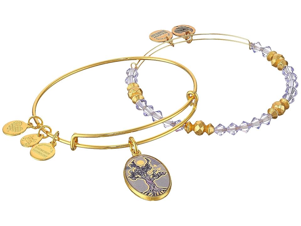 

Alex and Ani Art Infusion Set, Tree of Life Bangle (Shiny Gold) Bracelet, Metallic