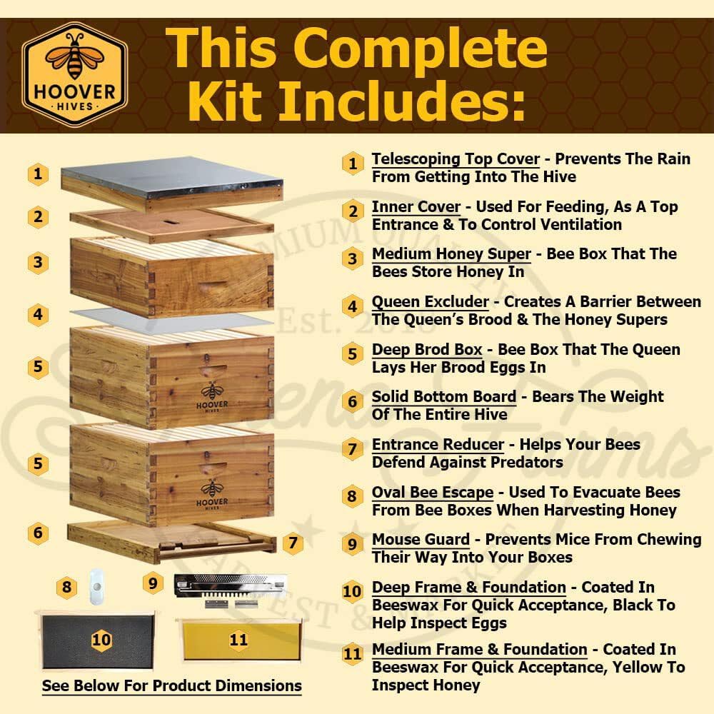 Hoover Hives Complete 8-Frame Beehive Kit – Wax-Coated Fir Wood, Includes 2 Deep Brood Boxes, 1 Medium Super, Langstroth Frames & CellTech Foundations – Durable, Weather-Resistant Beekeeping Supplies - Image 2
