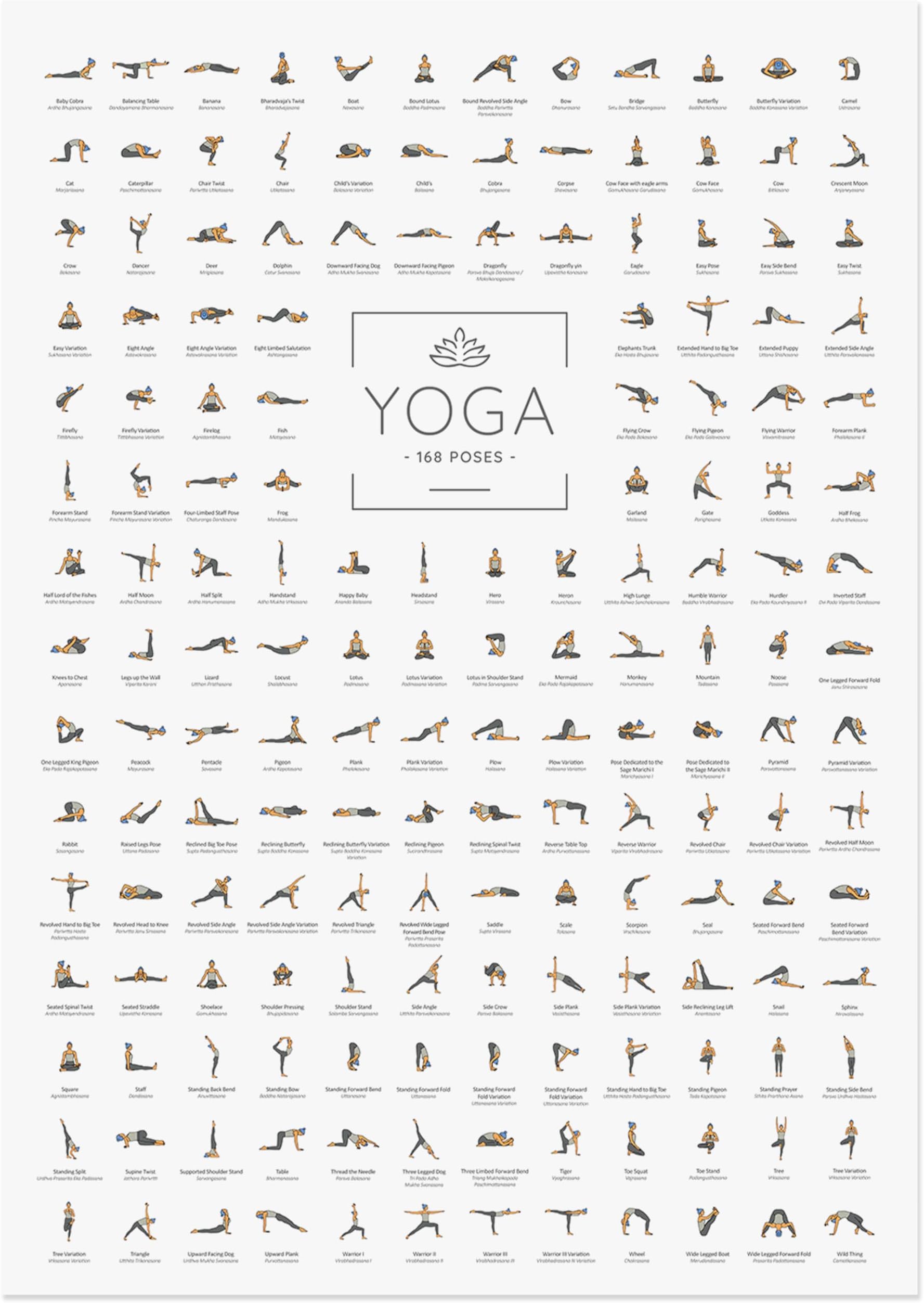 JUNOMI® Yoga Poster DIN A2 with 168 Poses and Asanas, Perfect for Studios and Home Exercises, Ideal Yoga Gift, Suitable for Beginners and Professionals | Frameless