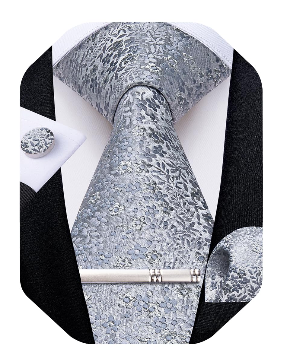 DiBanGu Silk Floral Ties for Men Woven Paisley Necktie
