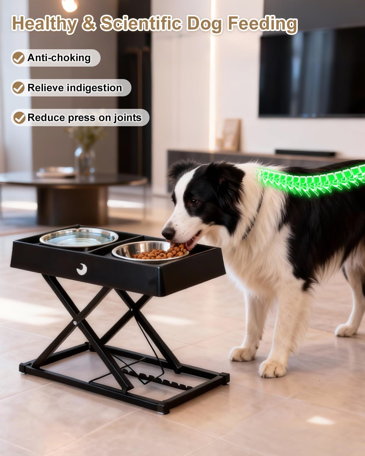 Taglory Metal Elevated Dog Bowls Stand for Large Breeds, 9 Height-Adjustable Raised Dog Bowl with 2 Stainless Steel Bowls(6 Cup), Anti-Slip Pads, 9" to 17.5", Black - Image 2